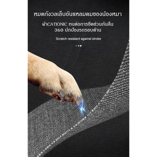 🔥ส่งจากกรุงเทพ🔥ผ้าคลุมหลังเบาะสำหรับสัตว์เลี้ยง เบาะหมา ที่รองเบาะรถยนต์ ผ้าคลุมเบาะกันเปื้อน สำหรับสุนัข