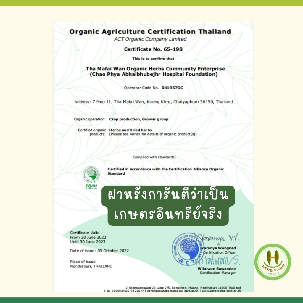 เสลดพังพอนสด อินทรีย์ ใบล้วนๆ คัดใบ ไม่ปนก้าน ใบสด 100 กรัม แถม 10 กรัม อินทรีย์จริงมาตรฐาน IFOAM ฝาหรั่งยอมรับ ราคา ถูกที่สุด ดีลบีเคเค แกลเลอรีภาพที่ 7