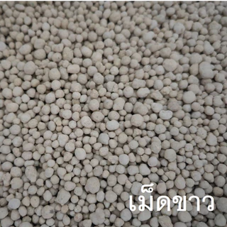 แมกนีเซียม ซัลเฟต (คีเซอร์ไรต์) มงกุฎ แบ่ง​บรรจุ 5 kg. อาหารรองแมกนีเซียม 10% +กำมะถัน 14% สังเคราะห์อาหาร สร้างสีเขียว