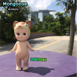 Sonny Angel 「Mongoose』น้องพังพอน๏มีสินค้าพร้อมส่ง๏