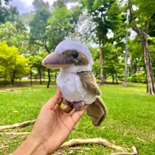 ตุ๊กตานกคุกคาบาร่า Kookaburra นกขยันหัวเราะ คุกคาบาร่า เจ้านกจอมหัวเราะ นกกระเต็นตะวันออกของออสเตรเลีย ตุ๊กตานก