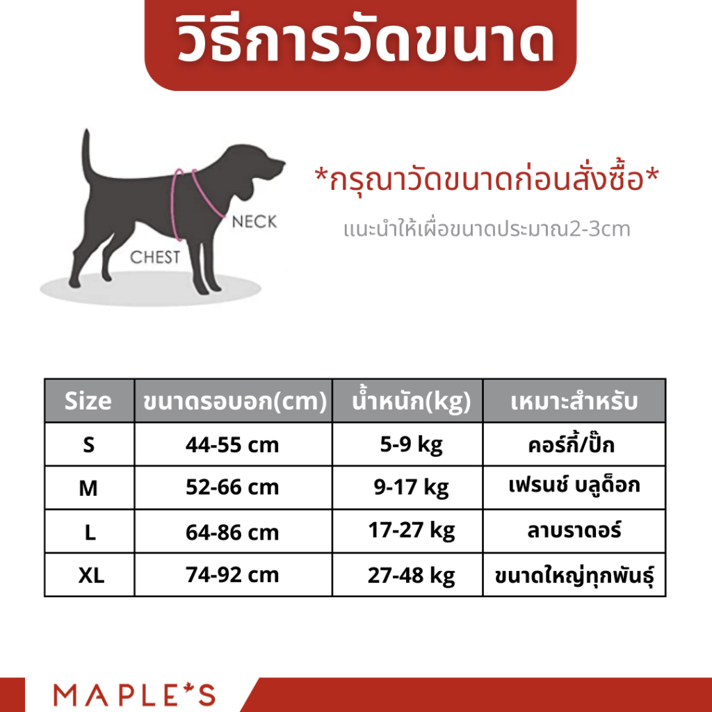 MAPLE'S สายจูงสุนัขยาว3เมตร ที่รัดอก สายจูงสปริงยืดหดได้ สุนัขใหญ่ เเมว Cat leash เชือกจูง จูงเเมว รูปที่ 6