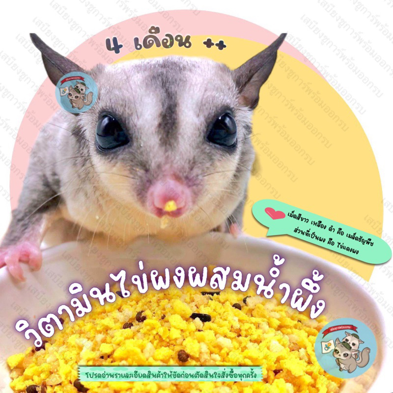 ( ไข่ผง ) วิตามินไข่แดงผงผสมน้ำผึ้ง ไข่แดงสด อาหารเสริม น้ำผึ้ง สัตว์ฟันแทะ นก ชูการ์ กระรอก แฮม บุชเบบี้ ลิงมาโมเสท ไก่