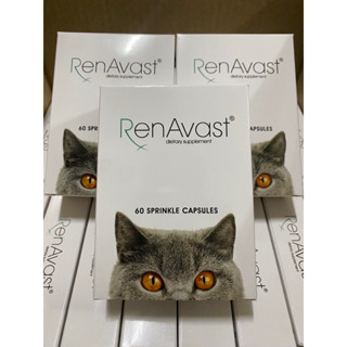 Renavast Cat EXP 09/2025 ผลิตภัณฑ์เสริมอาหารสำหรับแมวที่มีปัญหาโรคไต