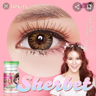 New ** Sherbet Brown (Wink Lens) บิ๊กอาย สีน้ำตาล ตาโต คอนแทคเลนส์ Contact Lens Bigeyes ลายฮิตใน tiktok ขายดีมากๆ ฝาแดง