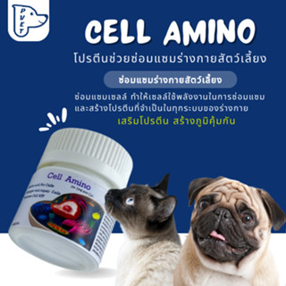 Cell Amino โปรตีนซ่อมแซมร่างกาย เสริมภูมิคุ้มกันให้กับสัตว์เลี้ยง