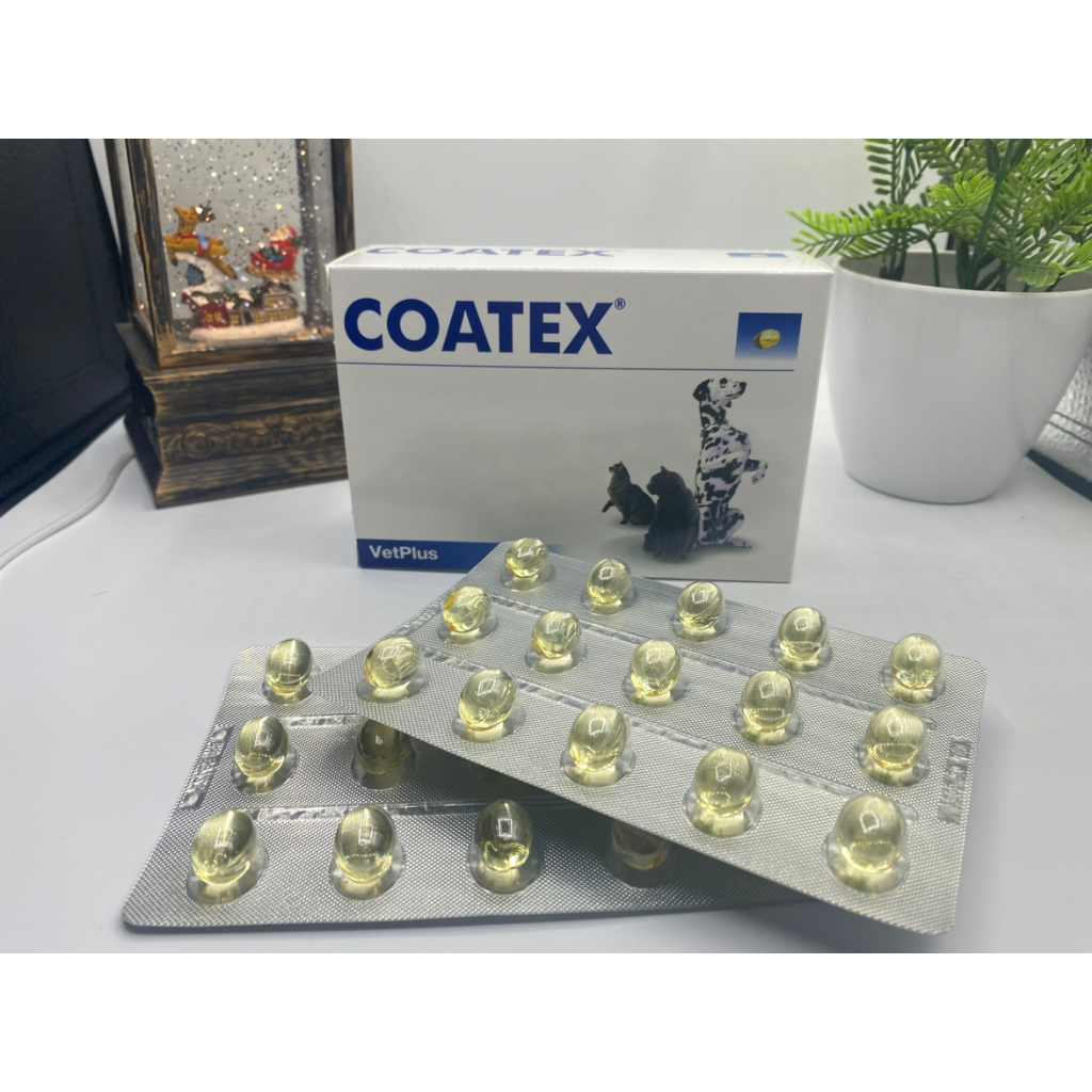 พร้อมส่ง COATEX Vitamin - อาหารเสริมบำรุงขนและผิวหนังสำหรับสุนัขและแมว 60 Capsules