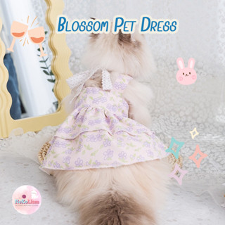 Lavender Pet Dress เดรสสัตว์เลี้ยง เดรสแมว ชุดกระโปรงหมา เสื้อแมว ชุดสัตว์เลี้ยง