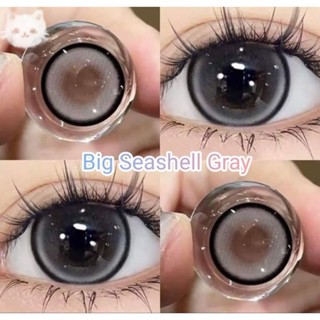 คอนแทคเลนส์ รุ่น Big Seeshell สีเทา/ตาล  Gray/Brown มีค่าสายตาปกติ (0.00) เปลี่ยนแทนทุกเดือน