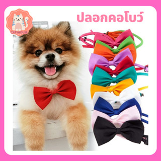 ปลอกคอแมว ปลอกคอ ปลอกคอโบ เนกไท ปลอกคอโบว์ ปลอกคอสัตว์เลี้ยง Pet Collar ปลอกคอแมวน่ารัก โบ โบว์