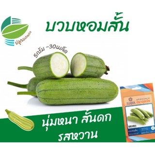 บวบหอมสั้น (Smooth Luffa)​