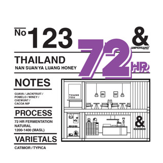 NO.123 Thai Nan Suan ya Luang 72hr Fermentation Natural - เมล็ดกาแฟคั่วอ่อน-กลาง by AMPERSAND COFFEE ROASTERS