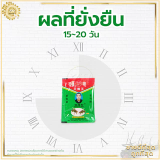 ที่ไล่แมลงวัน กําจัดแมลงวัน 25แพ็ค ที่ดักแมลงวัน ผงไข่เน่า ใช้ฆ่าแมลงวันบ้าน ได้ผลดีมาก ไม่เป็นอันตราย ผลที่ยั่งยืน