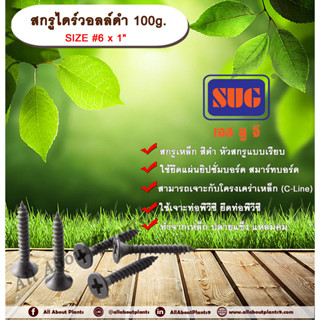 สกรูไดร์วอล์ดำ 6x1” 100g. สกรูยึดแผ่นยิปซั่ม สกรูดำยิงฝ้า สกรูไดวอล น๊อตดำ สกรูดำ น๊อตยิงฝ้า เกลียวดำ สกรูยึดแผ่นเรียบ