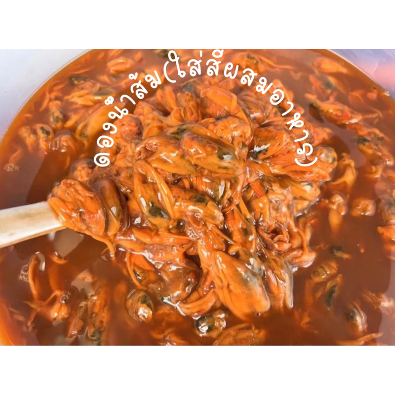 หอยดองแม่กลอง สูตรสมุนไพร