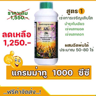 แกรมม่าทู1,000ccสูตรเร่งการเจริญเติบโต ลำต้นแข็งแรง ใบสีเขียวเข้ม ของแท้ต้องร้านนี้