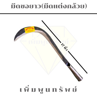 มีดขอยาว (มีดแต่งกล้วย)