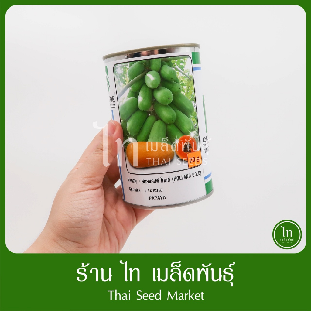 มะละกอ ฮอลแลนด์ โกลด์ เมล็ดมะละกอ เมล็ดพันธุ์ มะละกอ ตรา ซีดส์ไลน์ SEEDLINE บรรจุ 20 กรัม