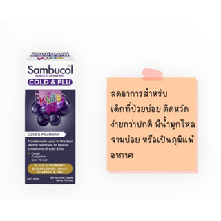 Sambucol Black Elderberry Cold &amp; Flu Relief Kids สูตรพิเศษ