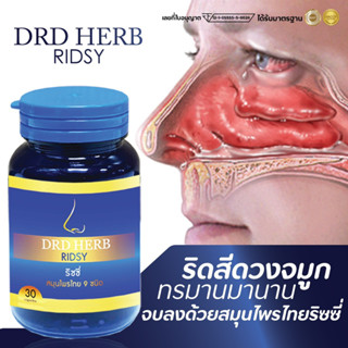 [ส่งฟรี-มีเก็บปลายทาง] ภูมิแพ้ ไซนัส ริดสีดวงจมูก ริซซี่สมุนไพร ริซซี่ Ridsy สมุนไพร DRD Herb นอนกรน หอบ โพรงจมูกอักเสบ