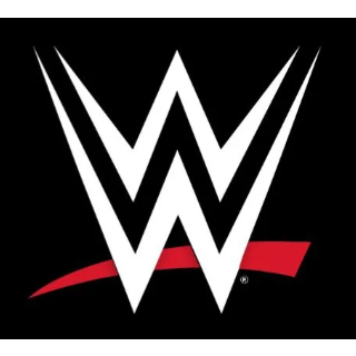 WWE Mattel Figure หุ่นนักมวยปลํ้ามือสอง หลายเเบบ