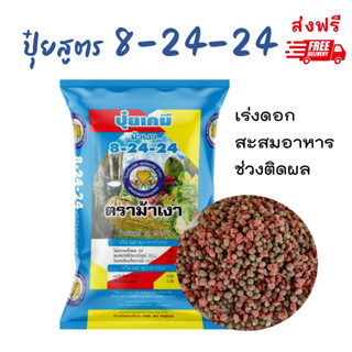 ปุ๋ยเคมี 8-24-24 เร่งดอก ผลใหญ่ สร้างเนื้อ ฟิลเลอร์ใช้กรดซิลิคอนแทนดิน