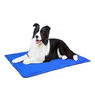 ที่นอนสุนัข แบบเย็น ที่นอนแผ่นเจลเย็น เย็นสบาย ที่นอนน้องหมา ที่นอนเจลเย็นหมา PET Cool Mat Championcheap