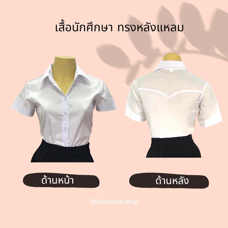 เสื้อนักศึกษาหญิงแขนยาวสีโอโม่ แบบหลังจีบ