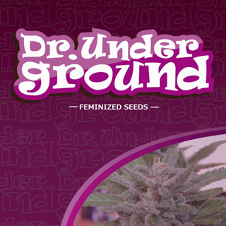 Dr. Underground Seeds