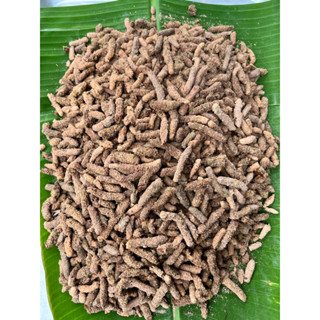 ไข่ตั๊กแตนปาทังก้า ชุดทดลองเลี้ยง 10ฝักแถม3ฝัก พร้อมอุปกรณ์ในการฟัก