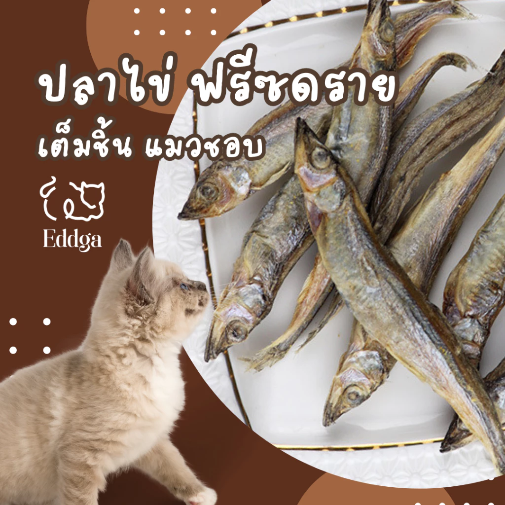 ฟรีซดรายแมว ปลาไข่ฟรีซดราย ปลาไข่ อบแห้ง ฟรีซดราย อบแห้ง ขนมแมว ขนมสุนัข freeze dried pet treat ขนมฟรีซดรายสัตว์ ขนมหมา
