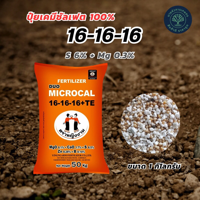 16-16-16 ปุ๋ยซัลเฟต100% ตราหญิงงาม แบ่งบรรจุขนาด 1 กิโลกรัม ทุเรียนใช้ได้ทุกระยะ ช่วยบำรุงใบ ลำต้น ใ