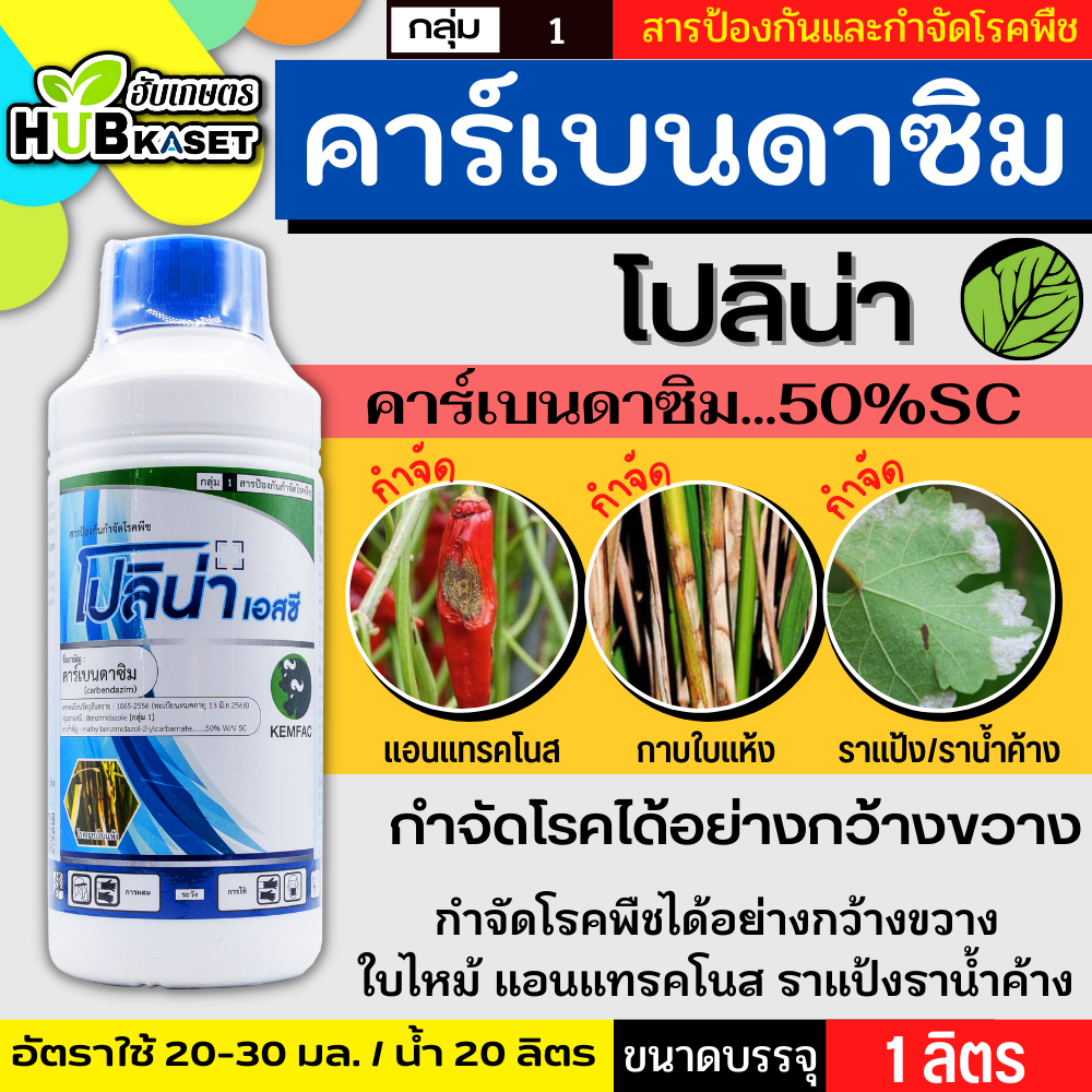 โปลิน่าเอสซี ตรากระทิงคู่ 1ลิตร (คาร์เบนดาซิน50%) กาบใบแห้ง โรคใบไหม้