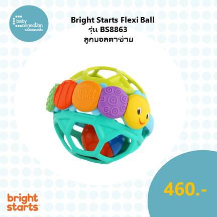 Bright Starts Flexi Ball ลูกบอลตาข่ายตัวหนอน รุ่นBS8863