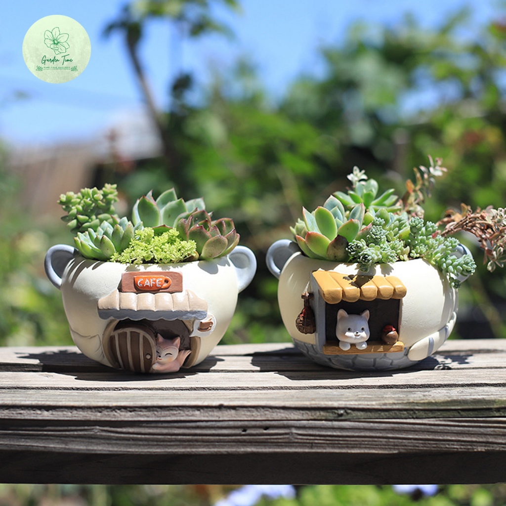 กระถางไม้อวบน้ำบ้านหูแมว กระถางจิ๋ว แคตตัส กระบองเพชร เรซิ่น Pot จัดสวน สวนสวย ของแต่งบ้าน ร้าน