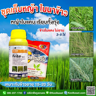 กำจัดวัชพืช ทีทริส 500 ซีซี ใบแคบ ในนาข้าว หญ้าดื้อยา หญ้าดอกขาว หญ้ากระดูกไก่ คูลเกษตรKP26