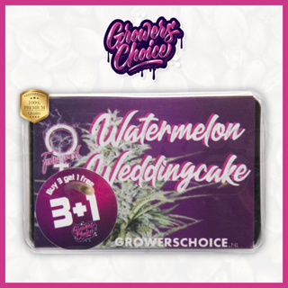 Watermelon Weddingcake (Photo) - Growers Choice เมล็ดกัญชา นำเข้าแท้100% เมล็ดเพศเมีย