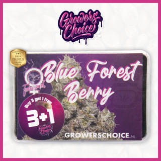 Blue Forest Berry (Photo) - Growers Choice เมล็ดกัญชา นำเข้าแท้100% เมล็ดเพศเมีย