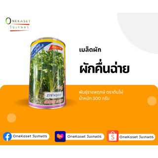 เมล็ดผักคื่นฉ่าย ตราต้นไผ่ น้ำหนัก 300 กรัม