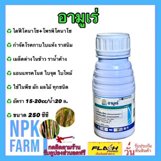 อามูเร่ ขนาด 250 cc ไดฟีโนโคนาโซล+โพรพิโคนาโซล สูตร 2 ตัวบวก กำจัดเชื้อรา เมล็ดด่าง กาบใบแห้ง ราสนิม ใบจุด ในนาข้าว npk