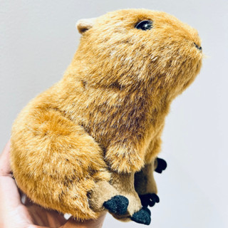 #ตุ๊กตา #คาปิบาร่า #kapibarasan #Capybara #ลิขสิทธิ์แท้ #A-Show #Original #Japan 7” ตำหนิตาหาย1ข้าง และป้ายผ้าโดนเขียน