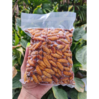หนอนไหมสดฟรีส ดักแด้ไหม(500g.) 🐛⚡️ส่งด่วน 🔥ค่าส่งเหมา✅คละได้ทั้งร้าน❗️โฟมฟรี💦ทุกจังหวัด 🚚💨ส่งขนส่งแช่เย็น❄️
