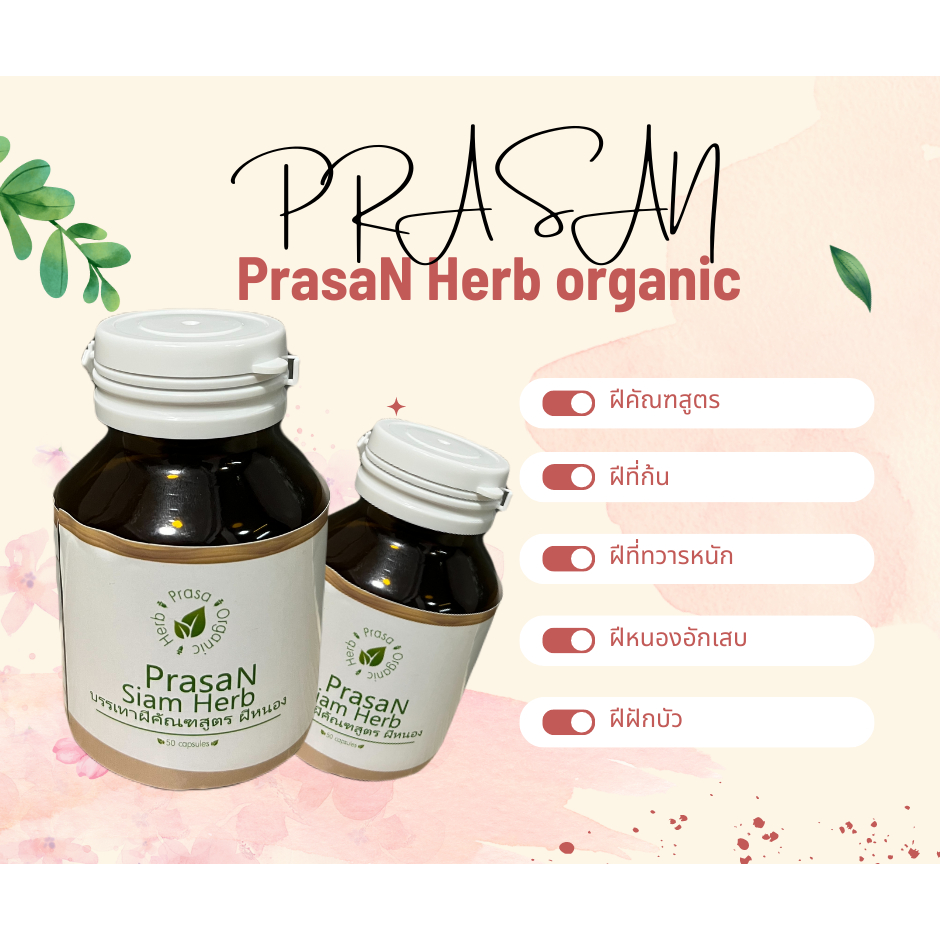 ฝีคัณฑสูตร เป็นฝีที่ทวาร ฝีที่ก้น1 กระปุก 50 เม็ด เป็นฝีหนอง พร้อมส่งแท้100% ผลิตภัณฑ์เสริมอาหารตรา Prasan