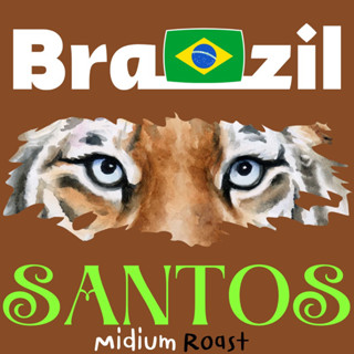 Brazil Santos คั่วกลาง 200กรัม