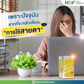 HOF Marigold Plus แมรี่โกลด์ พลัส Pharmahof บำรุงสายตา มี ลูทีน lutein , bilberry , ไลโคปีน , วิตามินเอ vitamin a