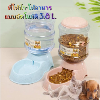 แหล่งขายและราคาMJ - ที่ให้น้ำ ที่ให้อาหารอัตโนมัติ 370g/3.8L (ราคาต่อชิ้น)อาจถูกใจคุณ