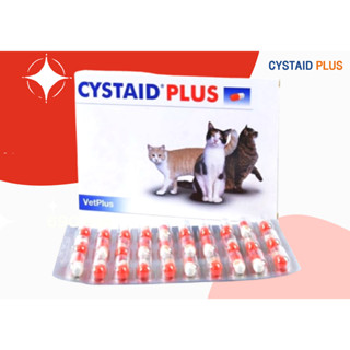 Cystaid plus หมดอายุ 06/24 อาหารเสริมโปรตีนสำหรับแมวอายุ 6 เดือนขึ้นไป