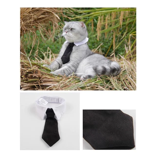 [🚚 พร้อมส่ง] เนคไทสัตว์เลี้ยง Gentleman Pet Tie เนคไท เครื่องประดับสัตว์เลี้ยง โบว์แมว หมา