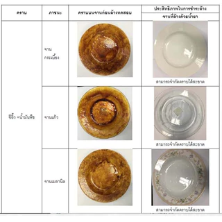 TEEPOL Pure ผลิตภัณฑ์ล้างจาน | ถนอมมือ อ่อนโยน | สำหรับทำความสะอาดจาน ชาม เครื่องแก้ว