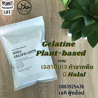 🌱เจลาตินผงทำจากพีช มีฮาลาล 250g